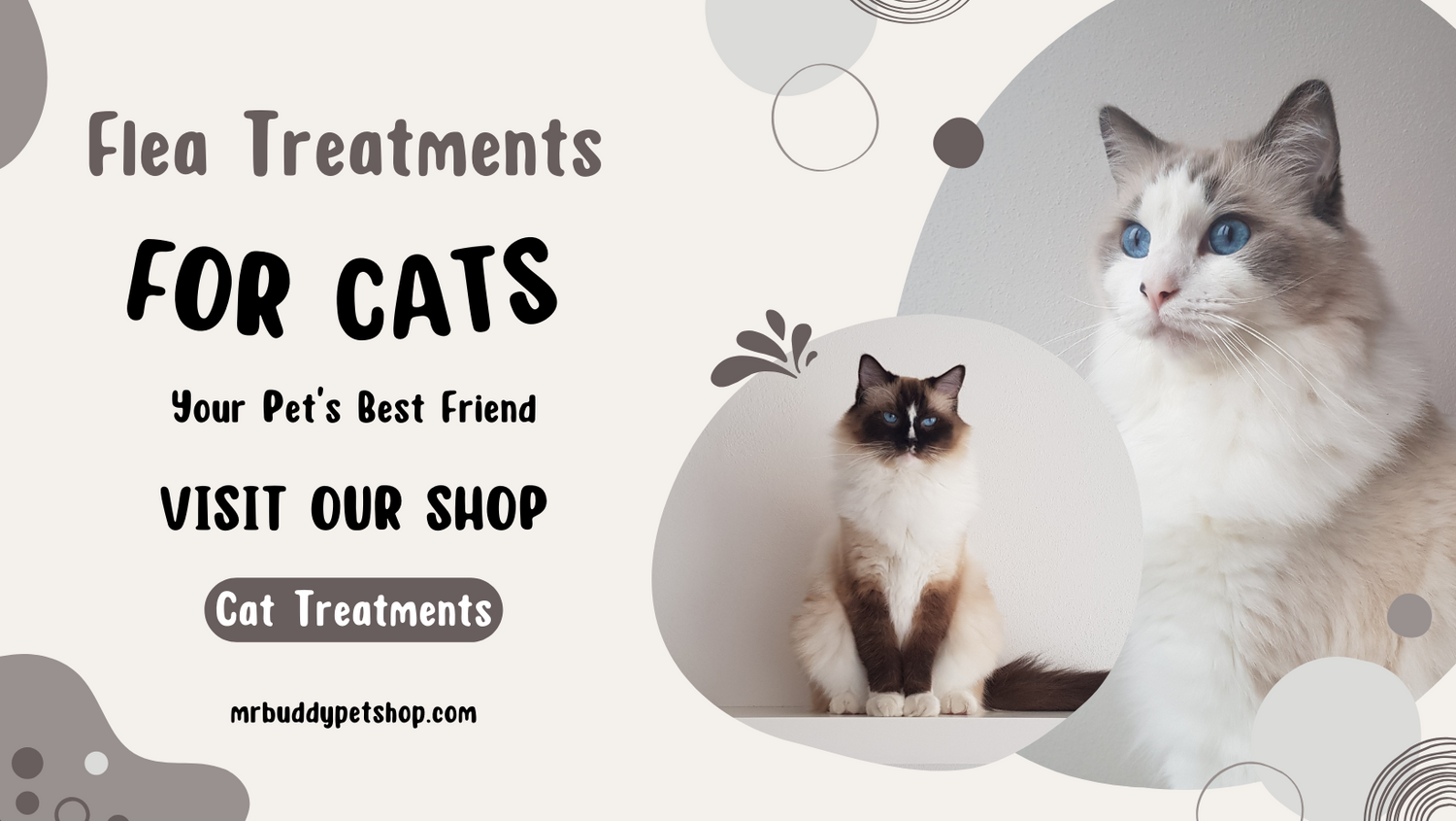 flea and worm treatment for cats