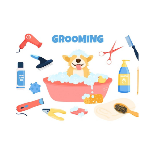 dog grooming near me