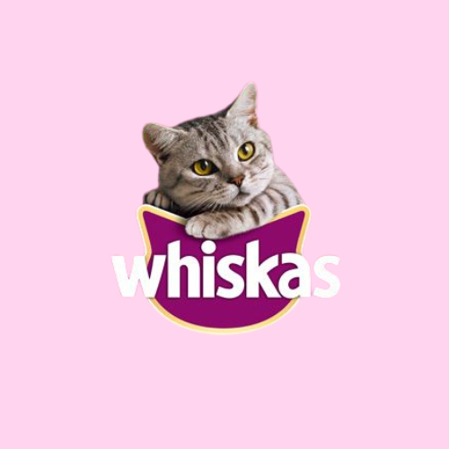 Whiskas Kitten Food | Whiskas Cat Food