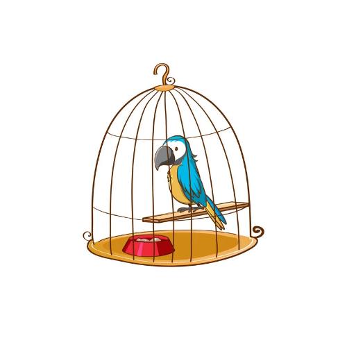 Bird Cage Accessories | Bird cage | Bird Cages