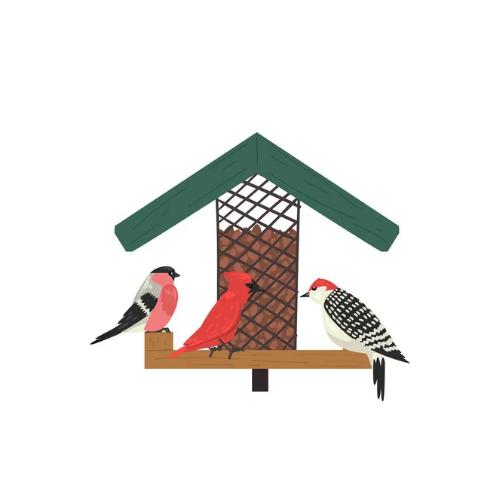 Bird Food | Bird Foods