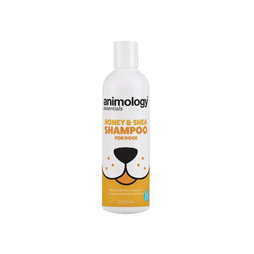 Animology Essentials Honey &amp; Shea Shampoo 250ml