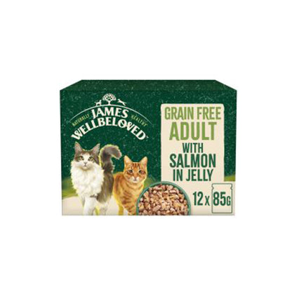 James Wellbeloved Adult Grain Free Salmon in Jelly 12x85g