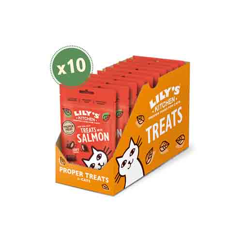 Lily’s Kitchen Treats with Salmon 10 x 60g