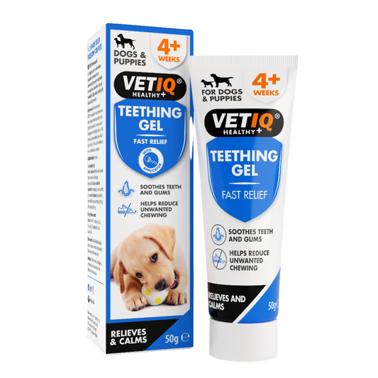 Vetiq Teething Gel For Dogs & Puppies 50g
