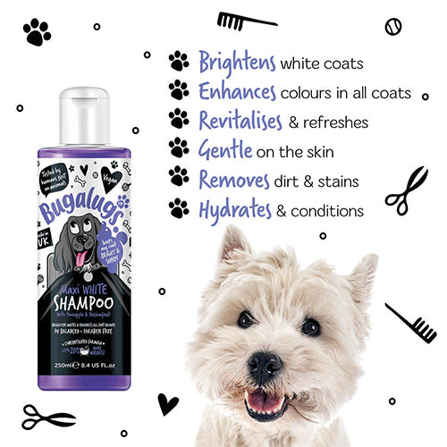 Maxi White Shampoo For Dogs