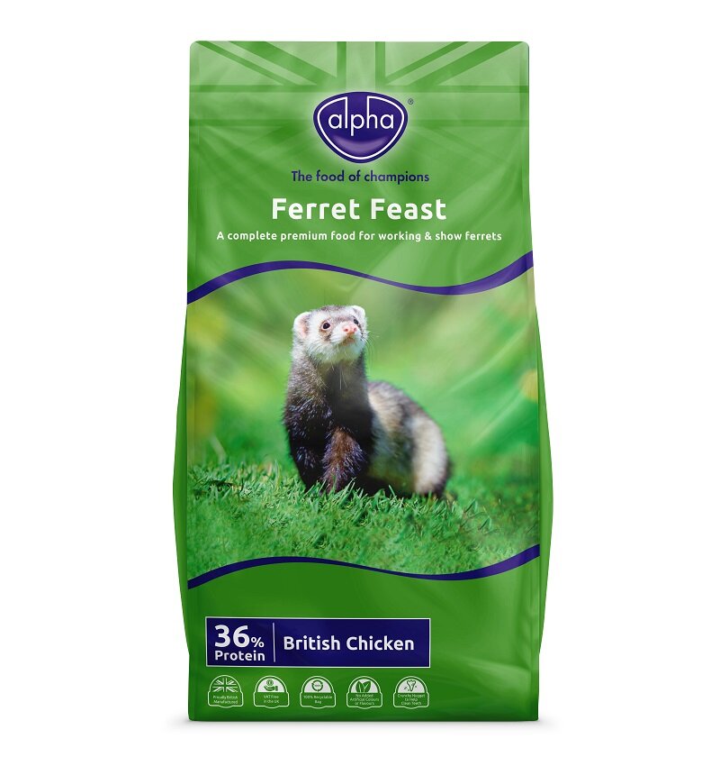 Burgess ferret food best sale