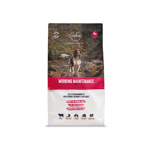 Alpha Adult Dog Working Maintenance Beef 15kg Dry Dog Food