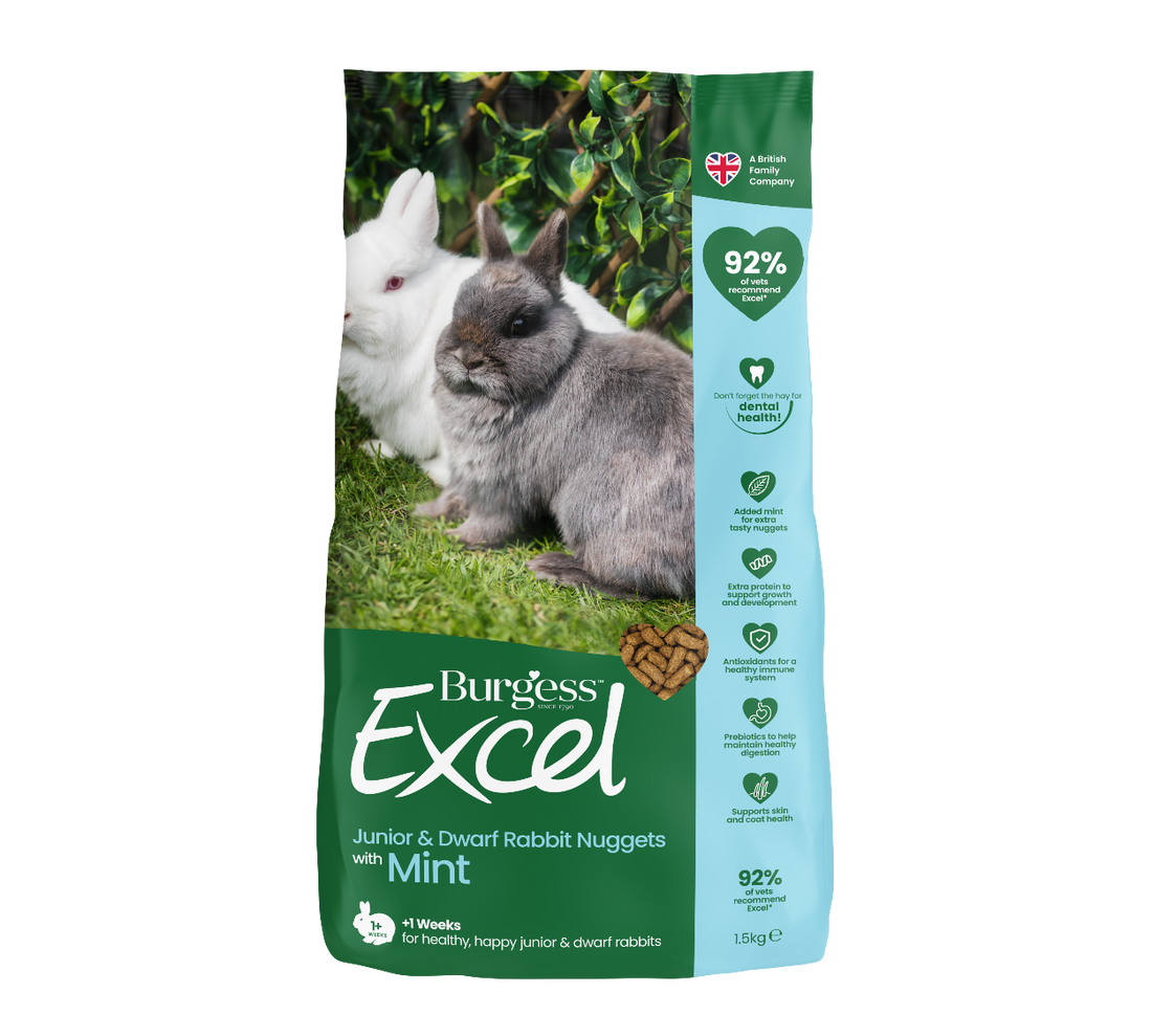 Burgess Excel Junior Dwarf Rabbit Nuggets with Mint 1.5kg