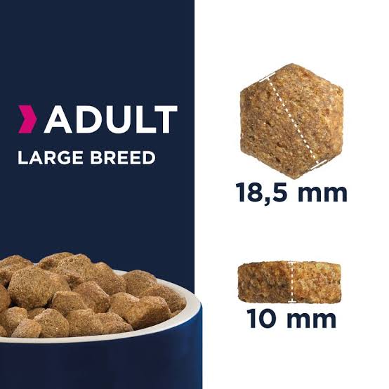 Eukanuba Active Adult Large Breed With Chicken