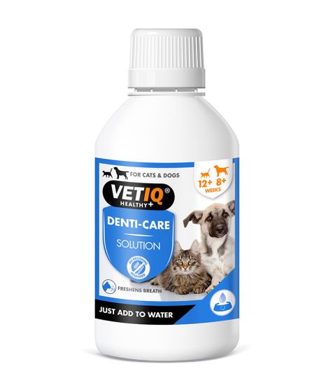 Vetiq Denti-Care Solution For Cats & Dogs